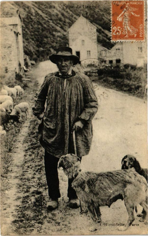 Carte postale ancienne Type de Berger