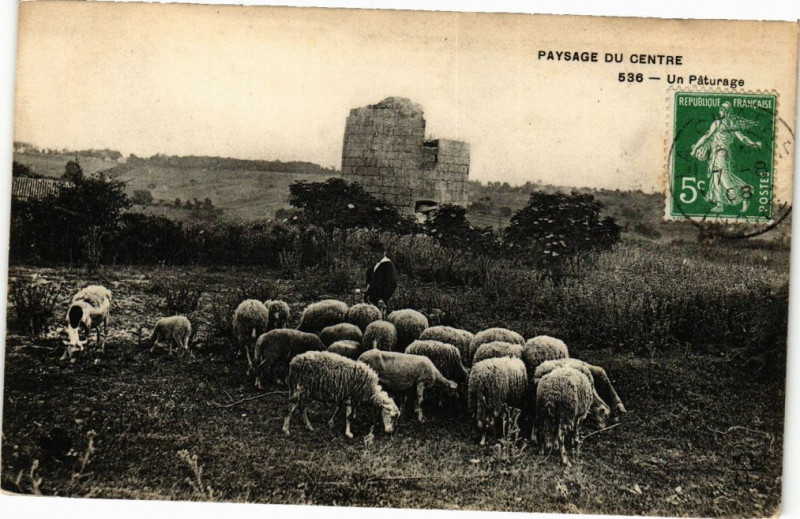 Carte postale ancienne Paysage du Centre - Un Paturage