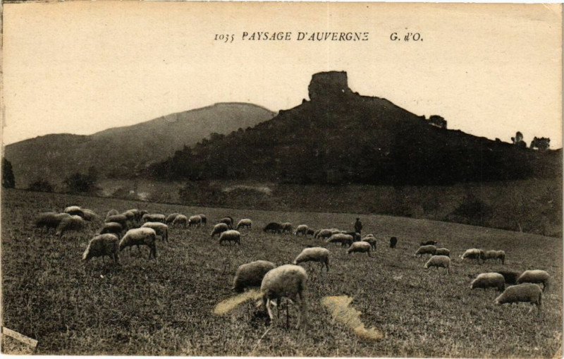 Carte postale ancienne Paysage d'Auvergne
