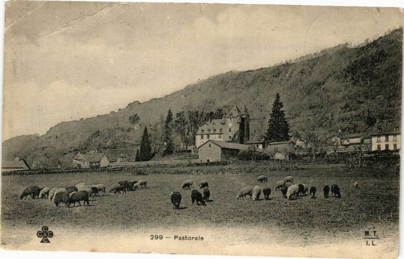 Carte postale ancienne Pastorale
