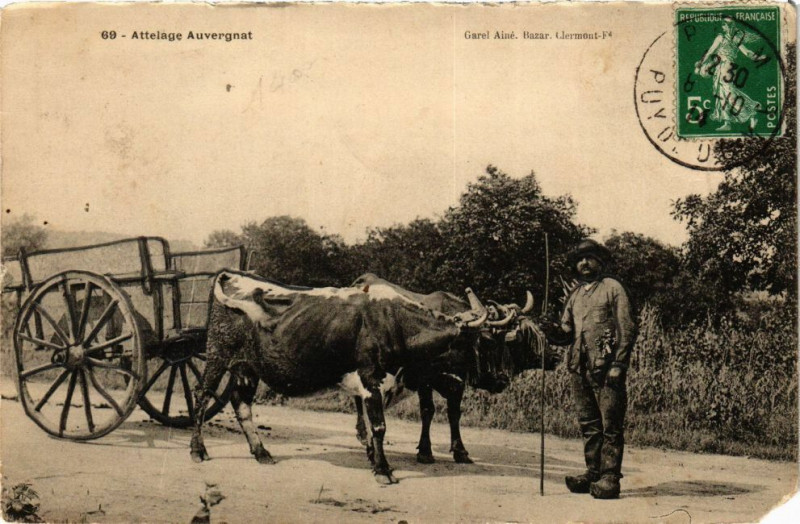 Carte postale ancienne Attelage Auvergnat