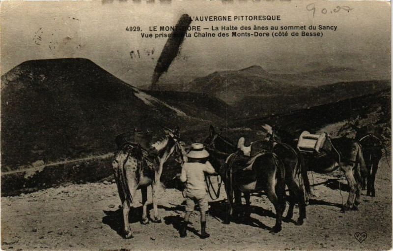 Carte postale ancienne Le Mont-Dore - La Halte des anes au sommet du Sancy à Mont-Dore