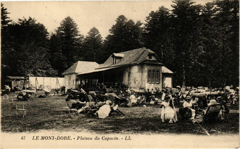 Carte postale ancienne Le Mont-Dore - Plateau du Capucin à Mont-Dore