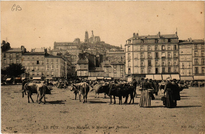 Carte postale ancienne Le Puy-en-Velay - Place Michelet - Le Marché aux Bestiaux au Puy-en-Velay