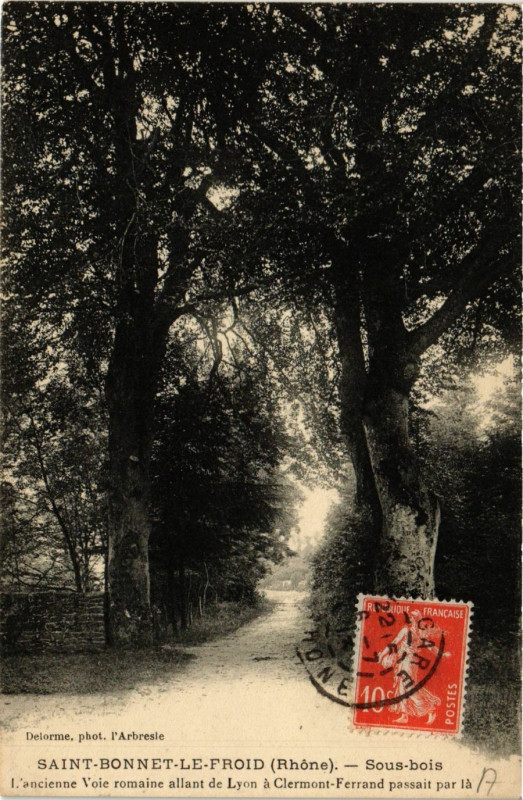 Carte postale ancienne Saint Bonnet le Froid - Sous bois ancienne Voie romaine à Saint-Bonnet-le-Froid