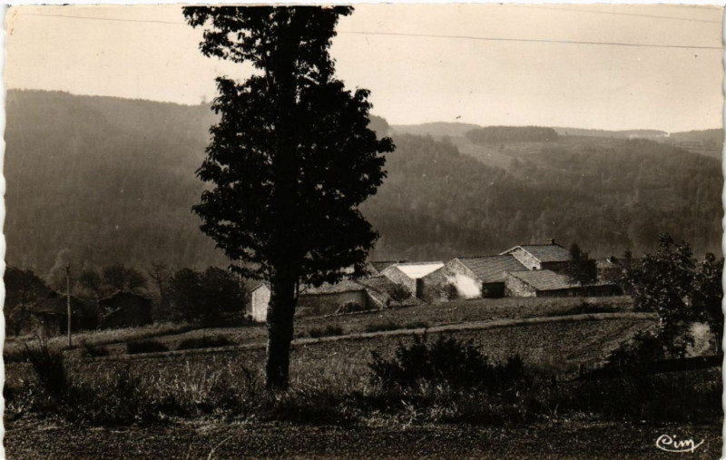 Carte postale ancienne Champagnac-le-Vieux (Hte-Loire) - Un joli coin des environs à Champagnac-le-Vieux