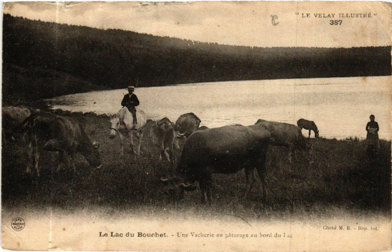 Carte postale ancienne Le Lac du Bouchet - Une Vacherie au paturage au bord du Lac