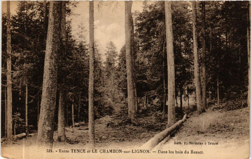 Carte postale ancienne Entre Tence et Le Chambon-sur-Lignon - Dans les bois du Besset à Tence