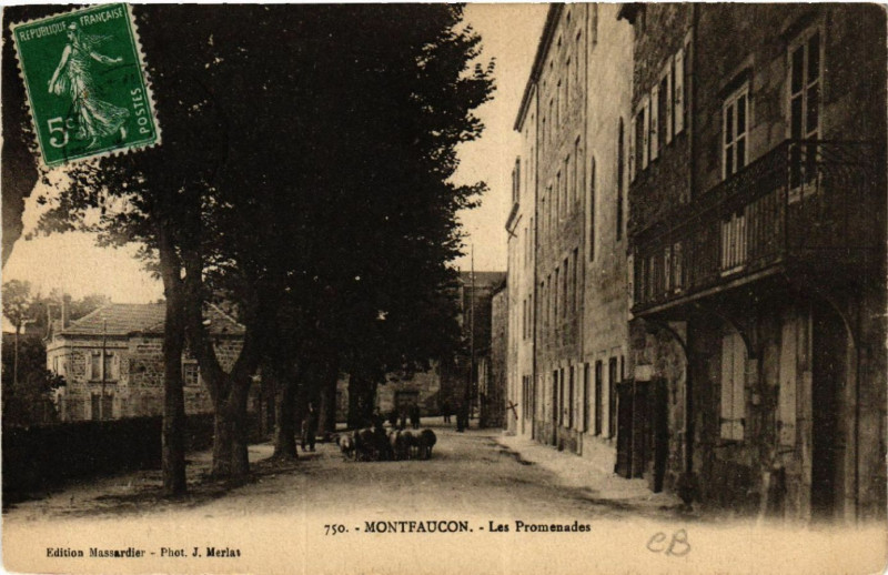 Carte postale ancienne Montfaucon - Les Promenades