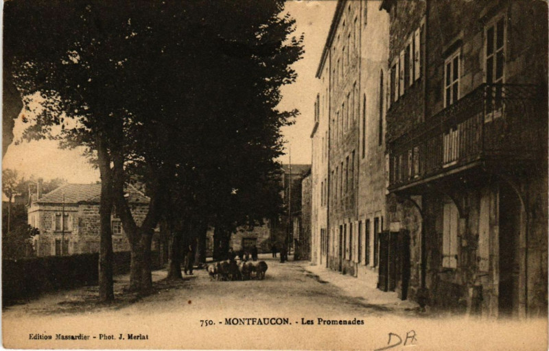 Carte postale ancienne Montfaucon - Les Promenades