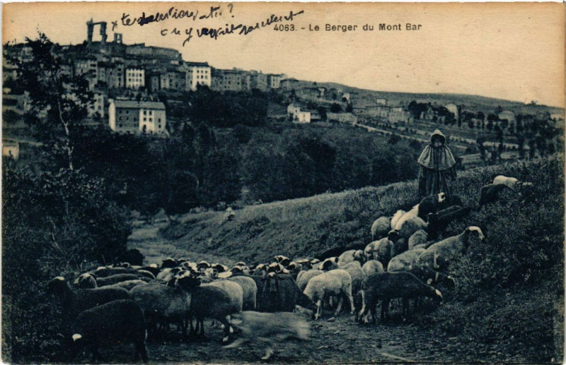 Carte postale ancienne Le Berger du Mont Bar