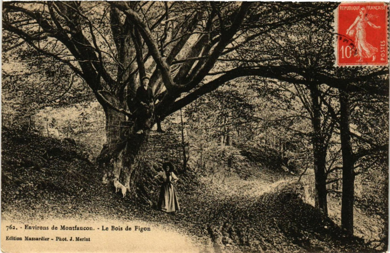 Carte postale ancienne Env. de Montfaucon - Le Bois de Figon