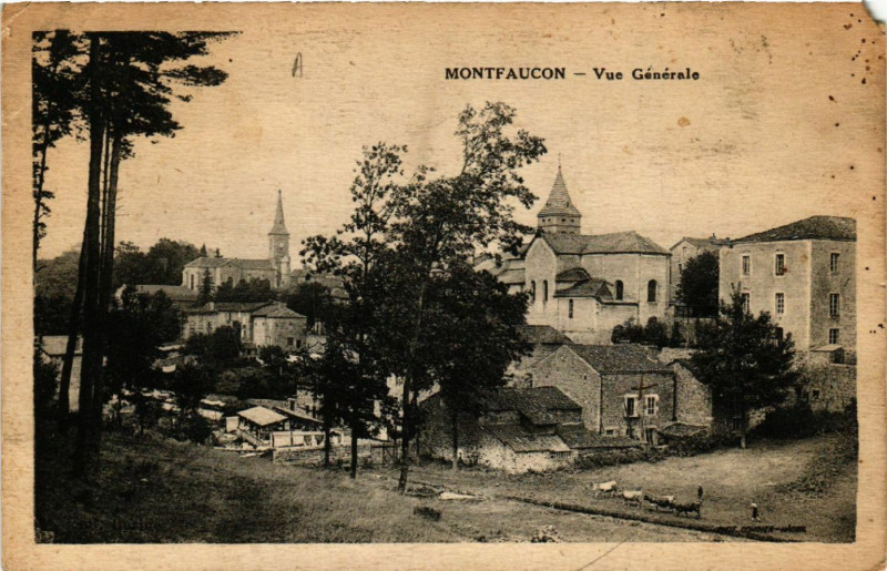 Carte postale ancienne Montfaucon - Vue générale