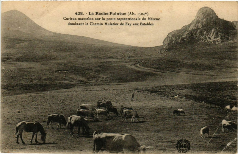 Carte postale ancienne La Roche Pointe (Alt 1504 m) - Curieux mamelon sur la pente