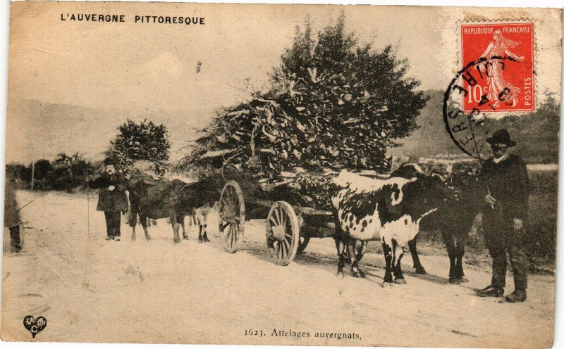Carte postale ancienne L'auvergne pittoresque