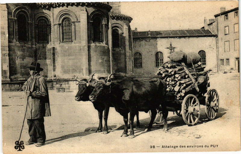 Carte postale ancienne Attelage des Env. du Puy