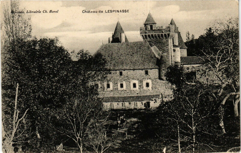 Carte postale ancienne Chateau de Lespinasse