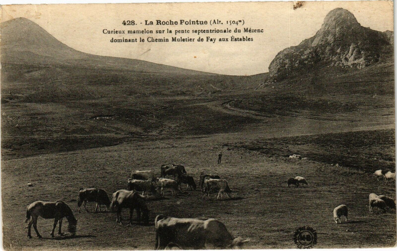 Carte postale ancienne La Roche Pointue (Alt.1504m) - Curieux mamelon sur la pente