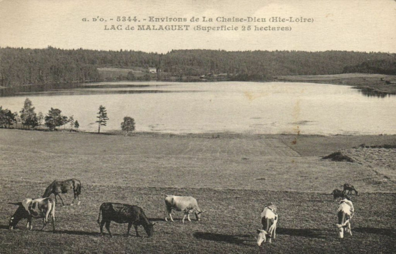 Carte postale ancienne Env. de la Chaise-Dieu (Hte-Loire) Lac de Malaguet à La Chaise-Dieu