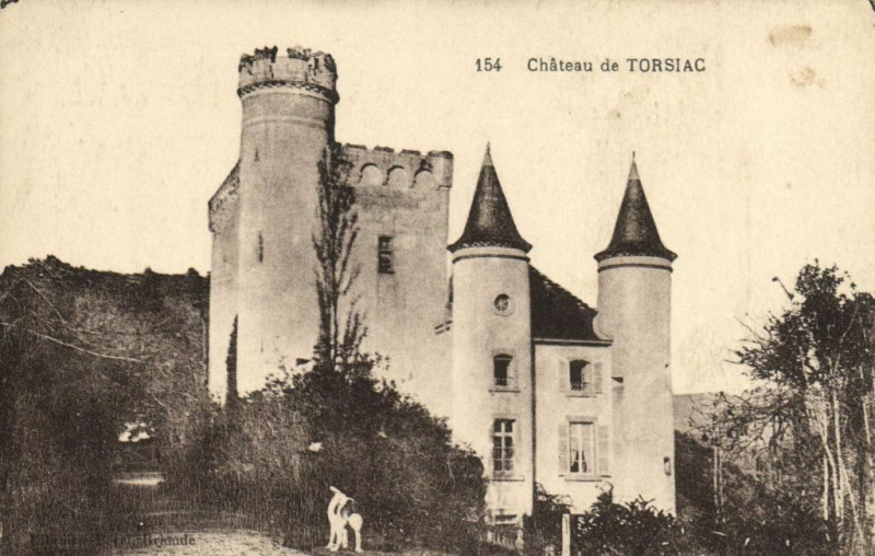 Carte postale ancienne Chateau de Torsiac à Torsiac