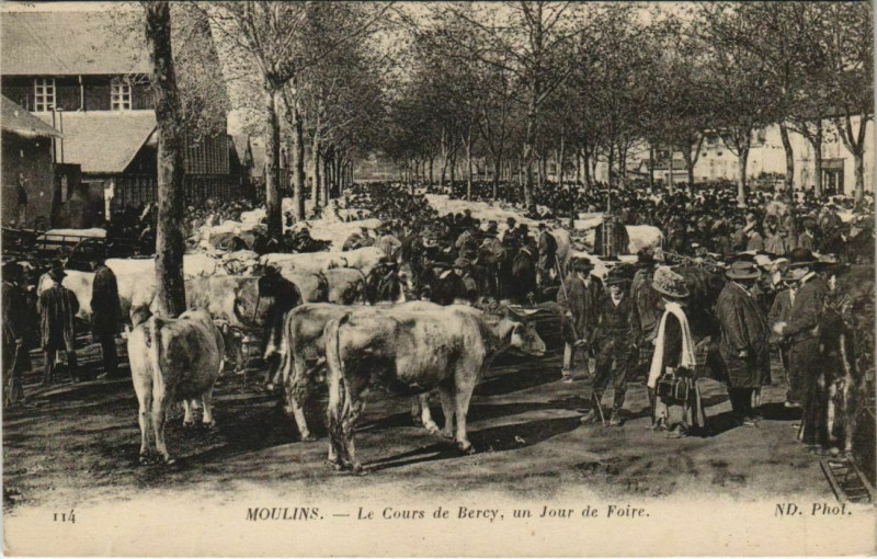 Carte postale ancienne Moulins - Le Cours de Bercy un jour de Foire à Moulins