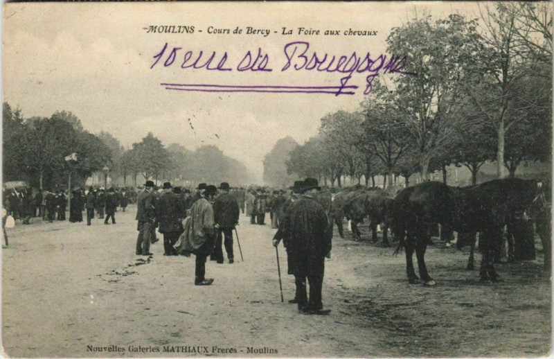 Carte postale ancienne Moulins - Cours de Bercy le foire aux chevaux à Moulins