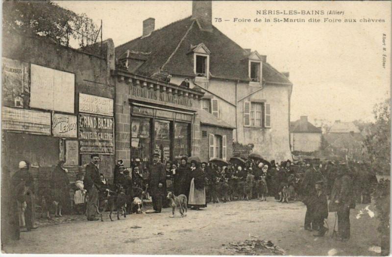 Carte postale ancienne Neris-les-Bains - Foire de la Saint-Martin foire aux chevres à Néris-les-Bains