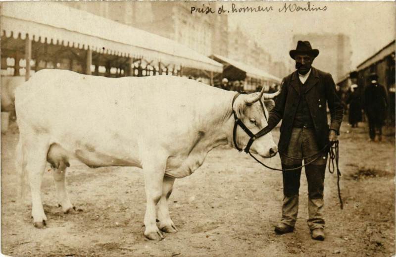Carte postale ancienne Carte photo Moulins Prise d'honneur Concours d'agriculture à Moulins