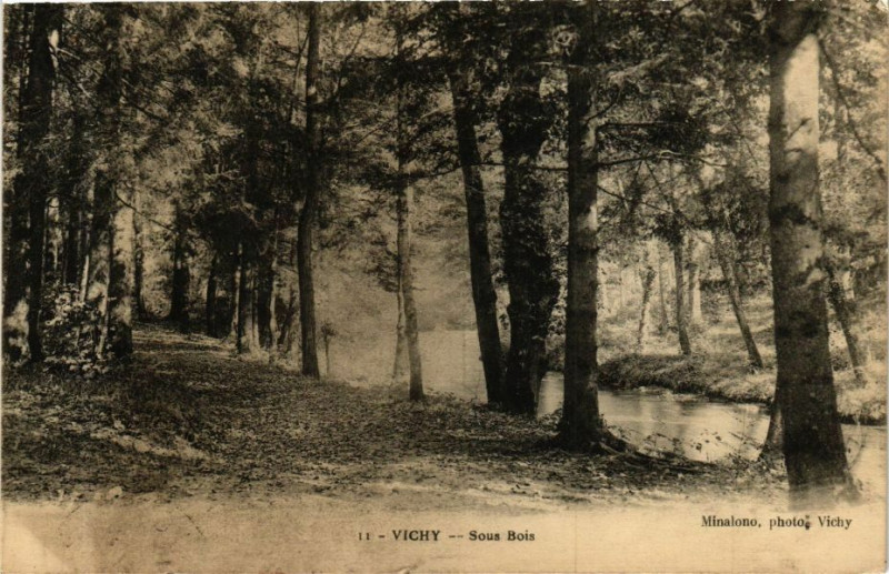 Carte postale ancienne Vichy Sous Bois à Vichy