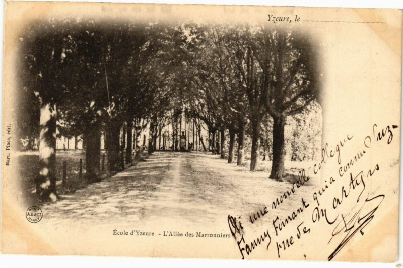 Carte postale ancienne Ecole d'Yzeure - L'Allée des Marronniers à Yzeure