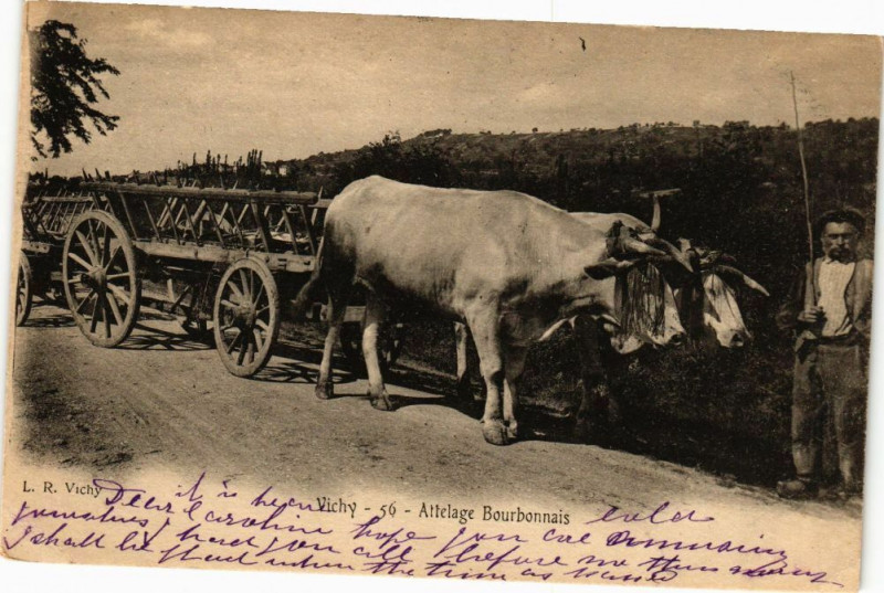 Carte postale ancienne Vichy Attelage Bourbonnais à Vichy