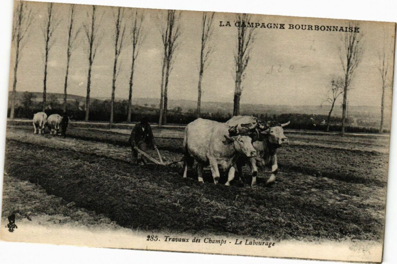 Carte postale ancienne Travaux des Champs-Le Labourage à Vaux
