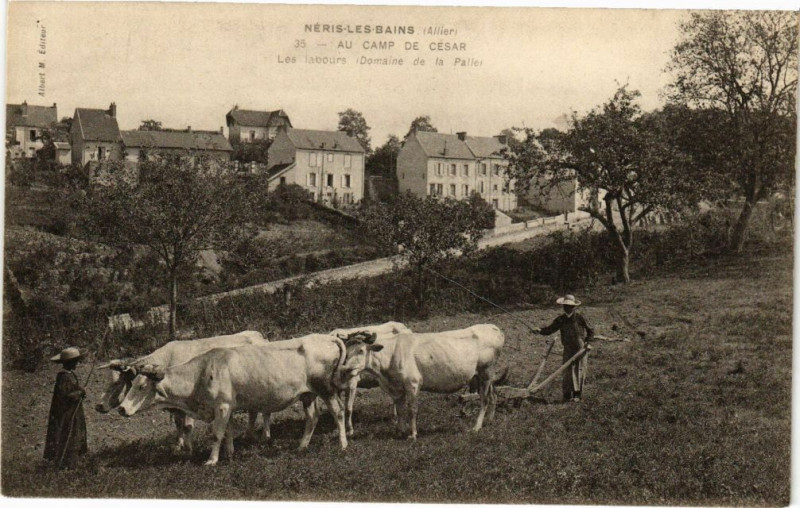 Carte postale ancienne Neris-les-Bains - Au camp de Cesar-Les labours-Domaine de la Palle à Néris-les-Bains