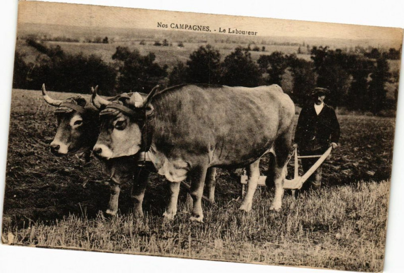 Carte postale ancienne Nos Campagnes-Le Laboureur