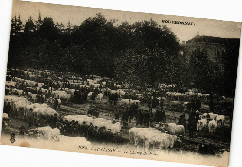 Carte postale ancienne Lapalisse - Le Champ de Foire à Lapalisse