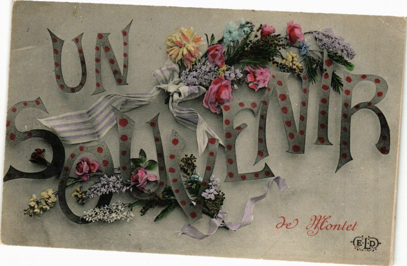 Carte postale ancienne Un Souvenir de Montet