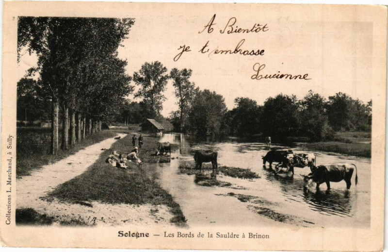 Carte postale ancienne Sologne - LesBords de la Sauldre a Brinon