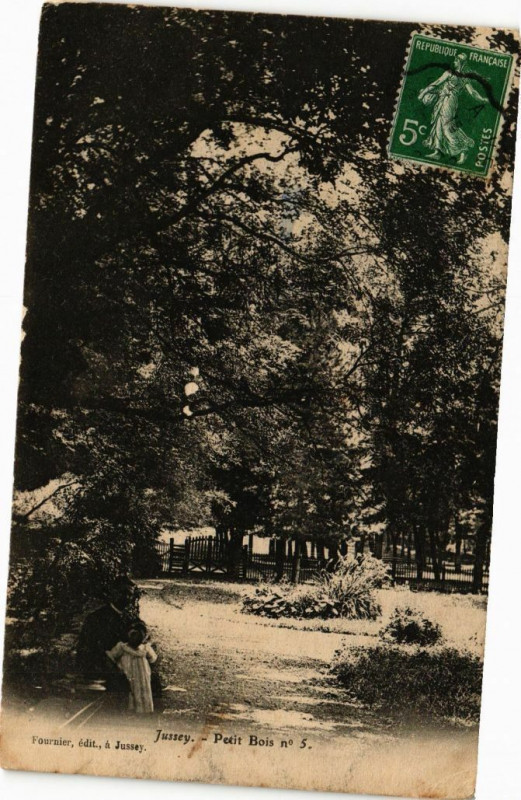 Carte postale ancienne Jussey-Petit Bois