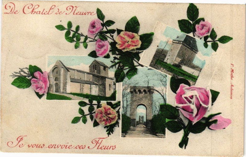 Carte postale ancienne De Chatel de Neuvre-Je vous envoie ces Fleurs