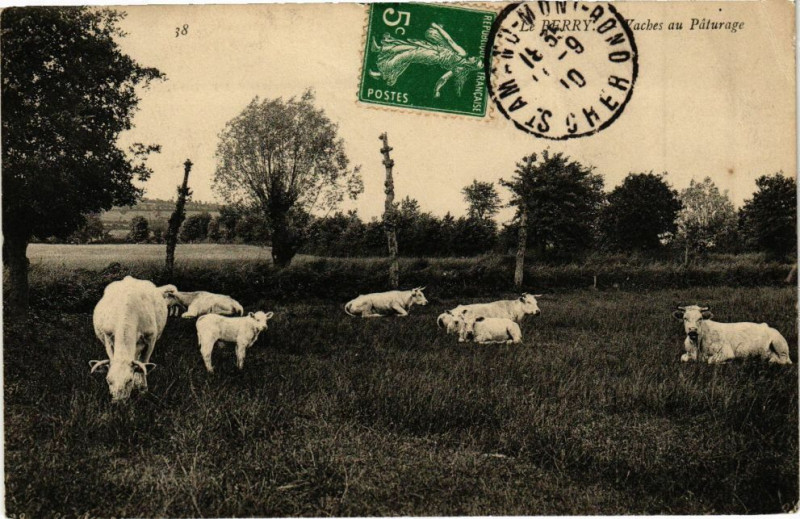 Carte postale ancienne Berry-Vaches au Paturage