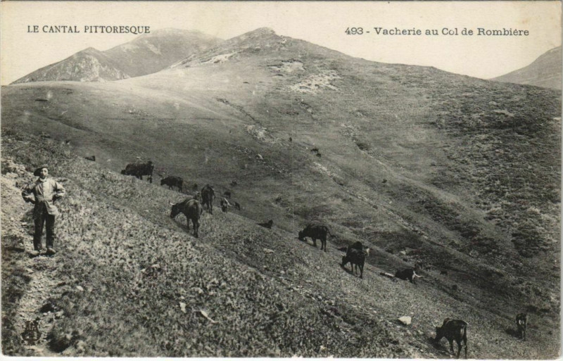 Carte postale ancienne Vacherie au Col de Rombiere France