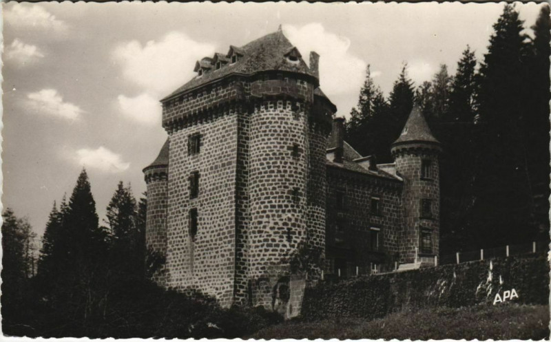 Carte postale ancienne Fontanges Le Chateau de Palmont France à Fontanges