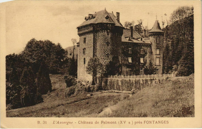 Carte postale ancienne Chateau de Palmont pres Fontanges France à Fontanges