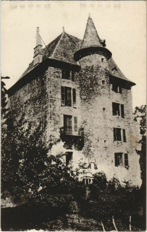 Carte postale ancienne Chateau de Cologne France