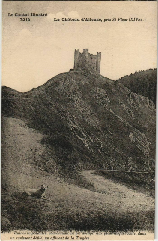 Carte postale ancienne Le Chateau d'Alleuze France à Alleuze