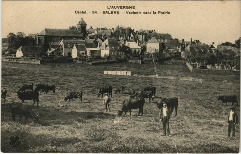 Carte postale ancienne Salers Vacherie dans la Prairie France à Salers