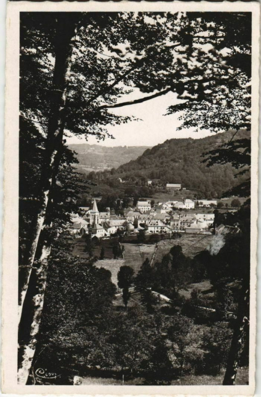 Carte postale ancienne Champs s Tarentaine Vue generale prise de Fournols France