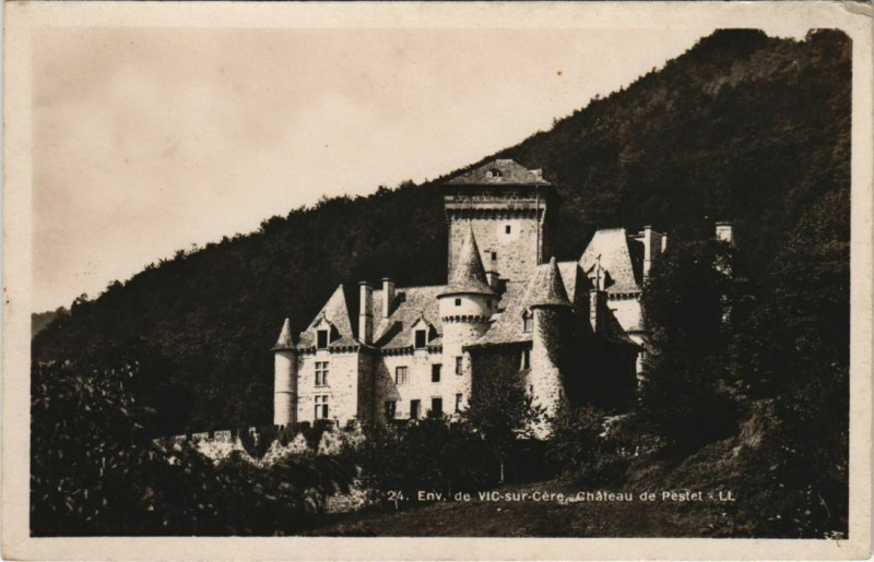 Carte postale ancienne Chateau Pestel France