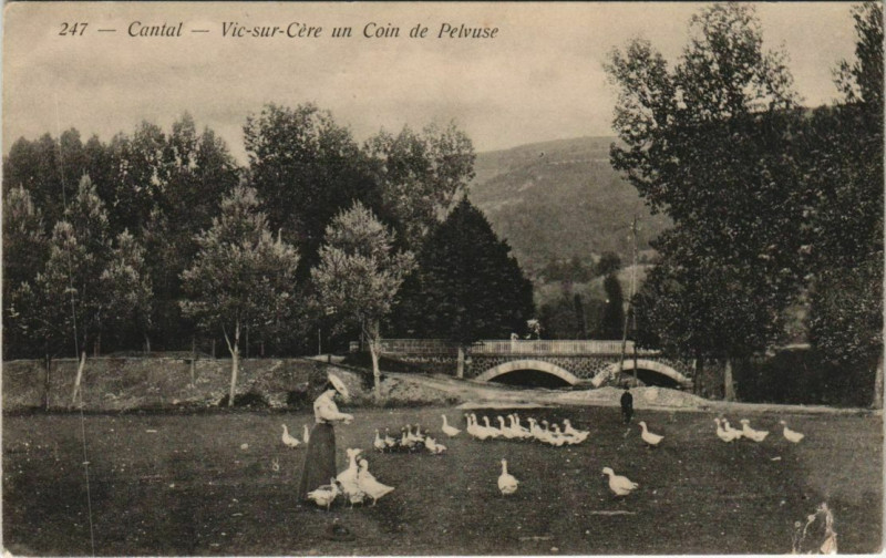 Carte postale ancienne Vic sur Cere un coin de Pelvuse France