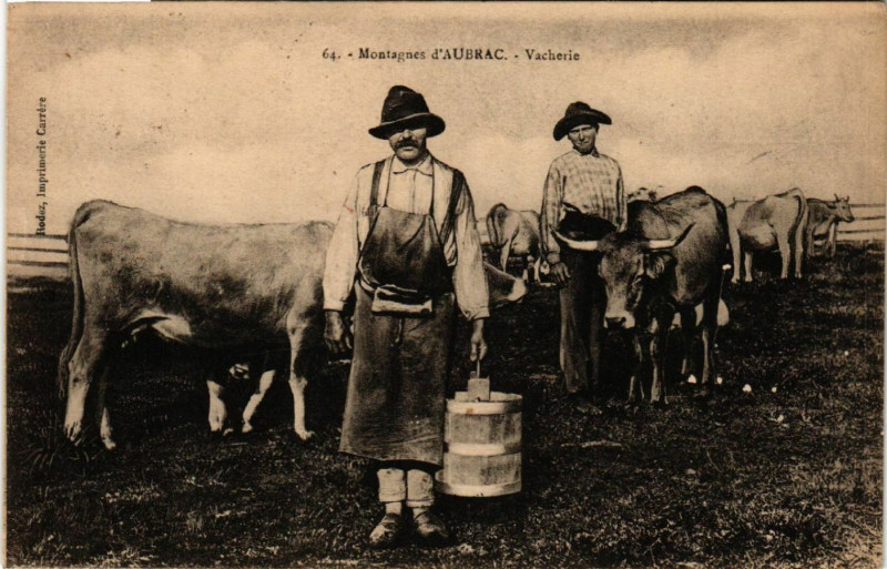 Carte postale ancienne Montagnes d'Aubrac - Vacherie